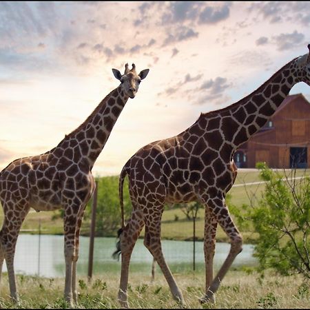 Hotel Blue Hills Ranch McGregor Esterno foto
