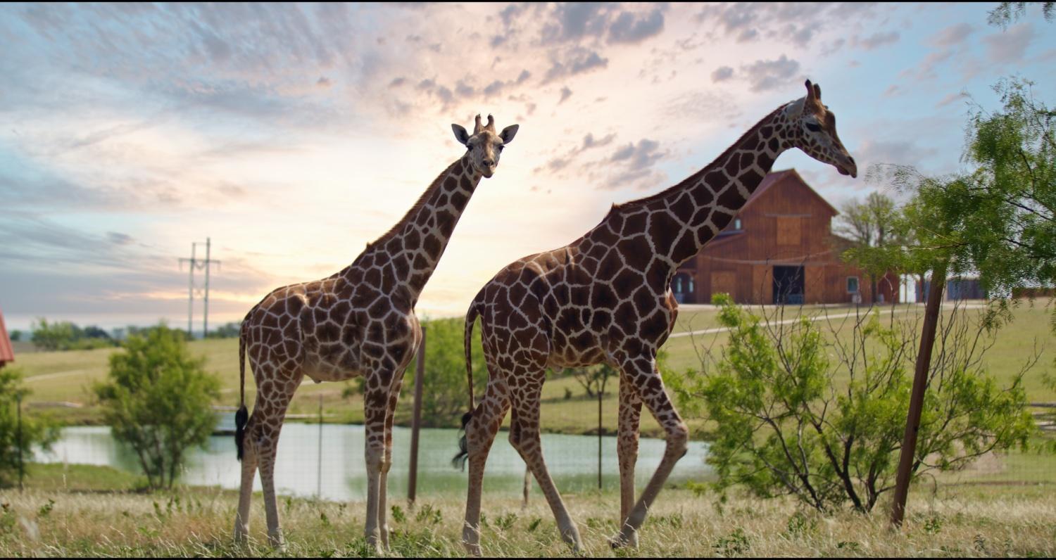 Hotel Blue Hills Ranch McGregor Esterno foto