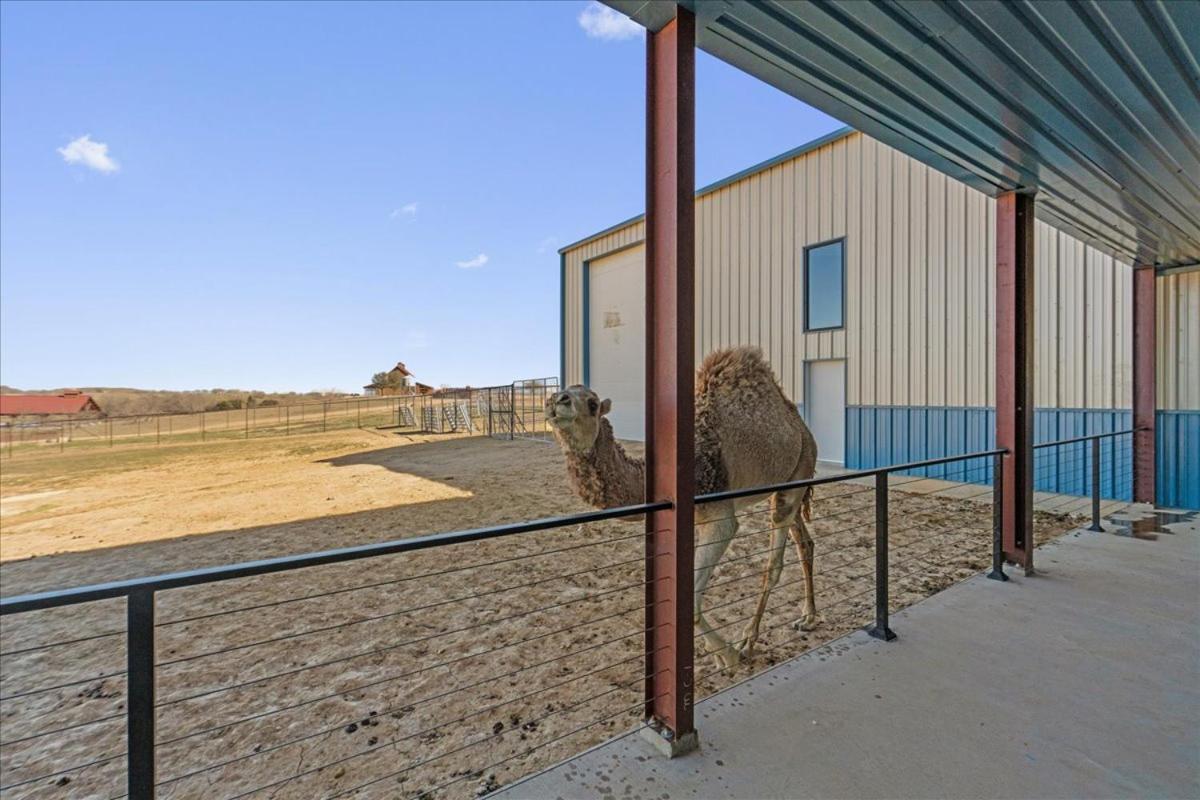 Hotel Blue Hills Ranch McGregor Esterno foto